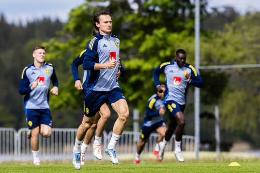 Hjalmar Ekdal of the Swedish men's national football team