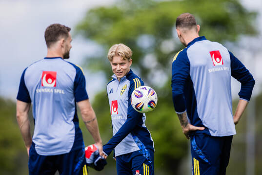 Daniel Svensson of the Swedish men's national football team