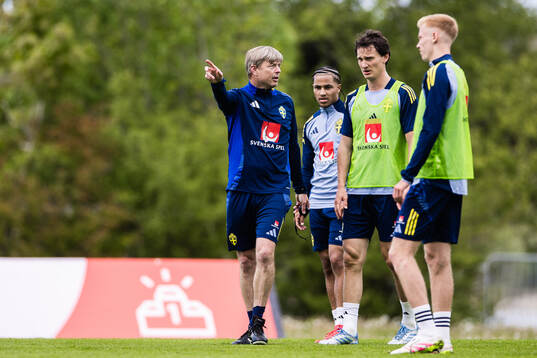 Head coach Jon Dahl Tomasson, Momodou Sonko, Hjalmar Ekdal