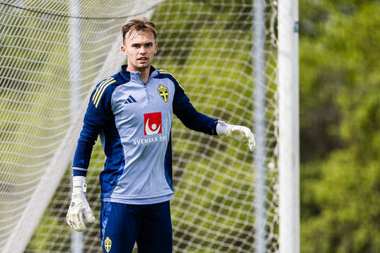 Goalkeeper André Picornell of the Swedish men's national