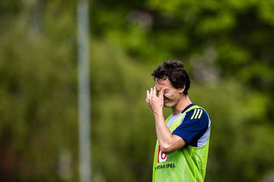 Hjalmar Ekdal of the Swedish men's national football team
