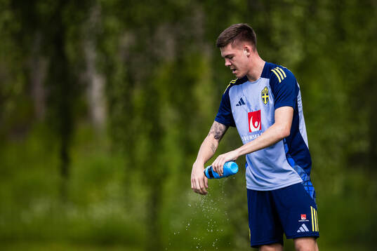 Emil Holm of the Swedish men's national football team