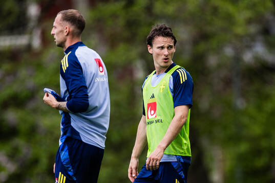 Hjalmar Ekdal of the Swedish men's national football team