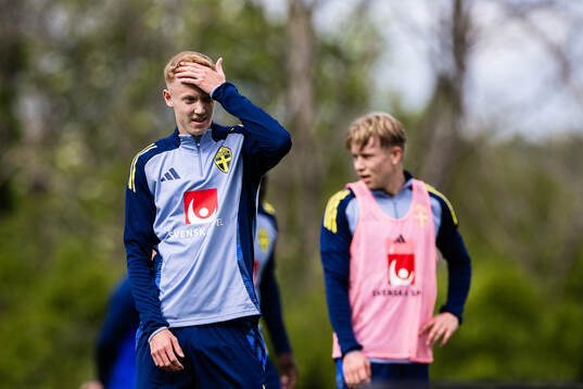 Hugo Larsson of the Swedish men's national football team