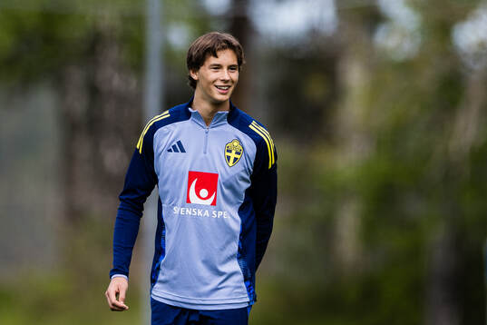 John Mellberg of the Swedish men's national football team