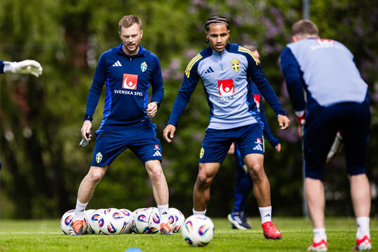 Assistant coach Sebastian Larsson of the Swedish men's