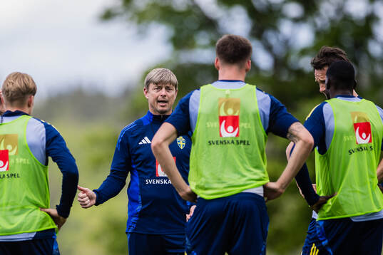 Head coach Jon Dahl Tomasson of the Swedish men's national