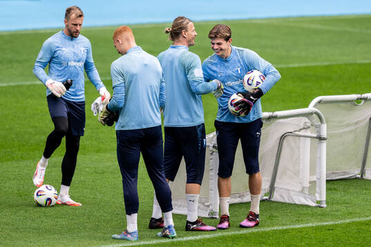 Malmö FFs målvakt Ricardo Friedrich, målvakt Joakim