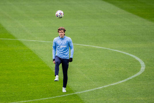 Malmö FFs Oliver Berg