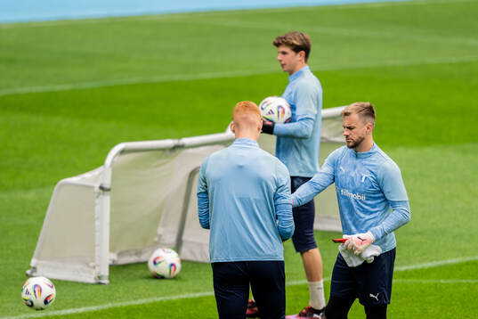 Malmö FFs målvakt Ricardo Friedrich