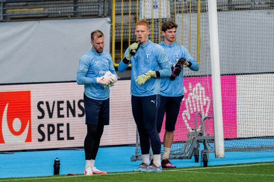 Malmö FFs målvakt Ricardo Friedrich, målvakt Joakim