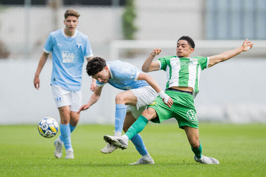 Malmö FFs Antonio Palac och Hammarbys William Loqvist