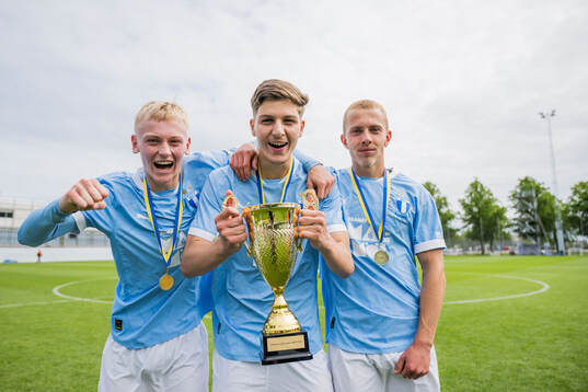 Malmö FFs Viggo Karlsson, Medjen Llumnica och Alexander