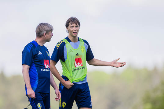 Head coach Jon Dahl Tomasson and John Mellberg of the