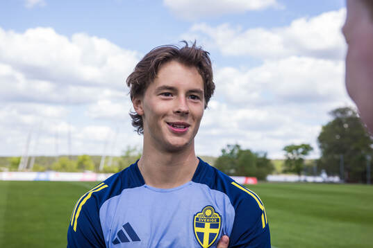 John Mellberg of the Swedish men's national football team