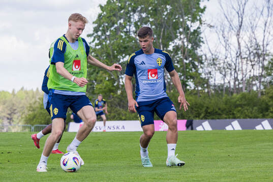 Hugo Larsson and Samuel Dahl of the Swedish men's national