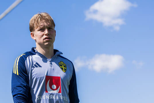 Daniel Svensson of the Swedish men's national football team