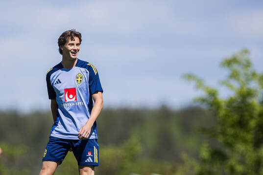 John Mellberg of the Swedish men's national football team