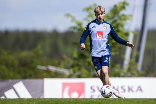 Daniel Svensson of the Swedish men's national football team
