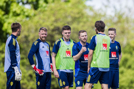 Assistant coach Sebastian Larsson of the Swedish men's