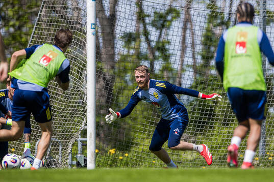 Goalkeeper Viktor Johansson of the Swedish men's national