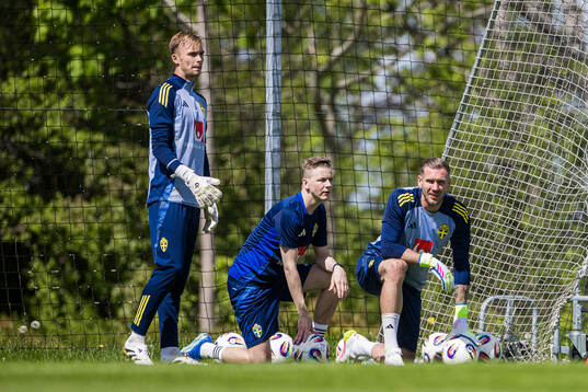 Goalkeeper Andre Picornell, goalkeeper coach Maths