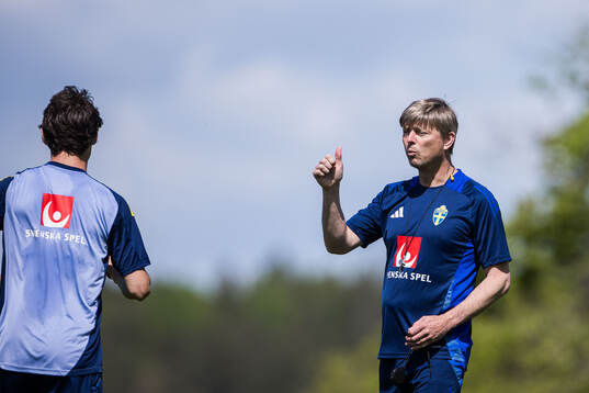Head coach Jon Dahl Tomasson of the Swedish men's national