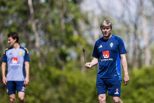 Head coach Jon Dahl Tomasson of the Swedish men's national