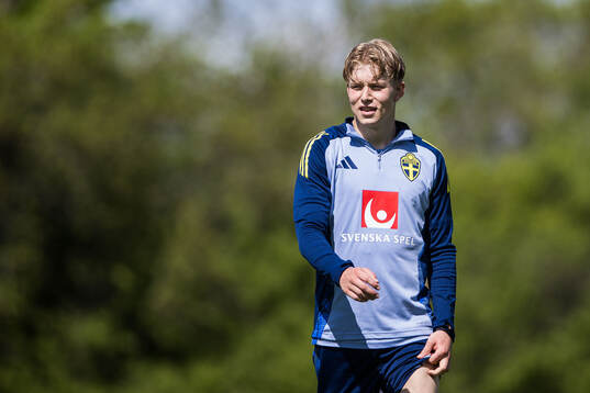 Daniel Svensson of the Swedish men's national football team