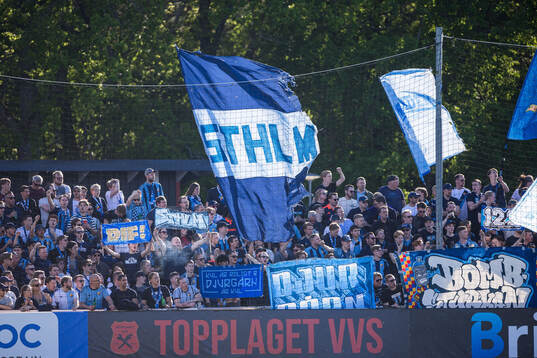 Djurgården supporter