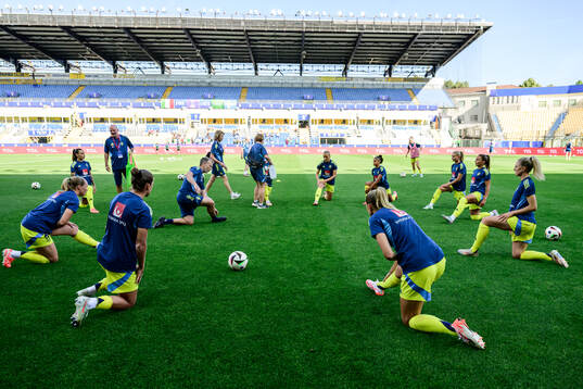 Players of Sweden