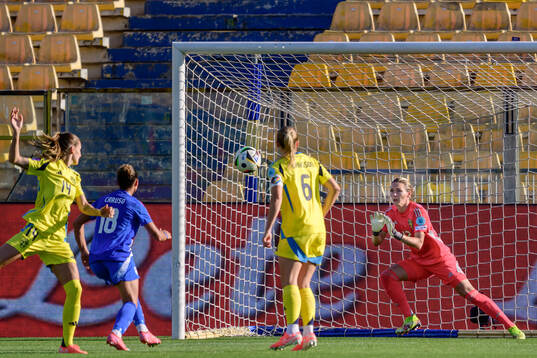 Goalkeeper Jennifer Falk of Sweden
