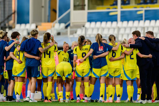 Players of Sweden