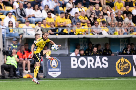 Elfsborgs Niklas Hult