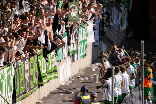 Hammarbys spelare jublar med supportrar