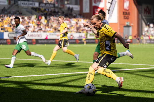 Elfsborgs Niklas Hult