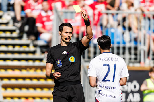 Domare Adi Aganovic