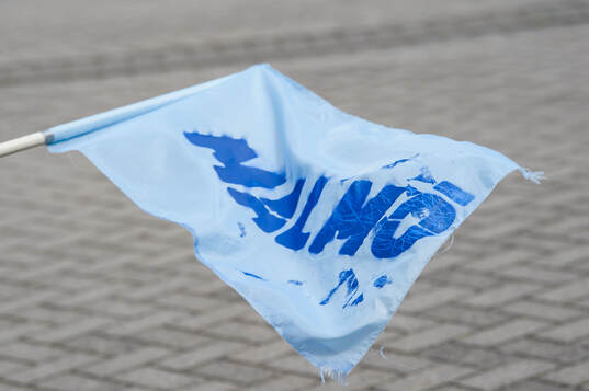 Malmö FF flagga