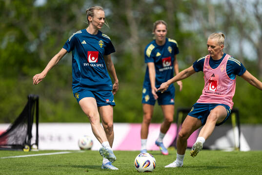 Amanda Ilestedt and Stina Blackstenius of the Swedish