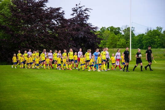 Swedish and Danish players are marching