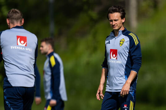 Hjalmar Ekdal of the Swedish men's national football team