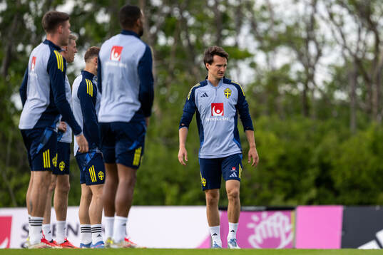 Hjalmar Ekdal of the Swedish men's national football team