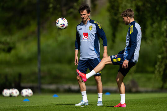 Hjalmar Ekdal of the Swedish men's national football team
