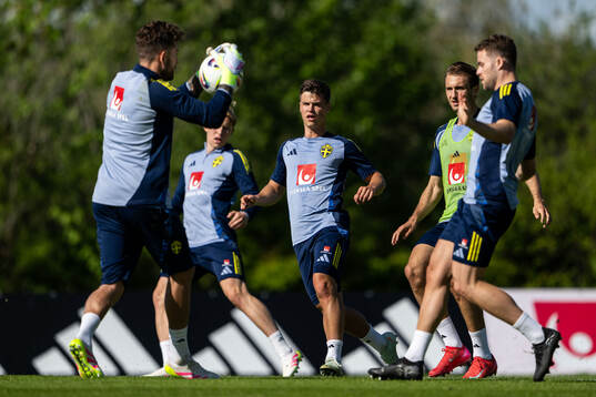 Samuel Dahl of the Swedish men's national football team