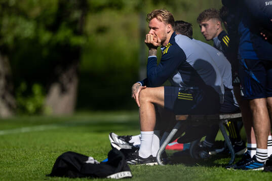 Viktor Eriksson of the Swedish men's national football team