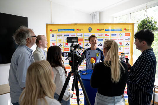 Hjalmar Ekdal of the Swedish men's national football team