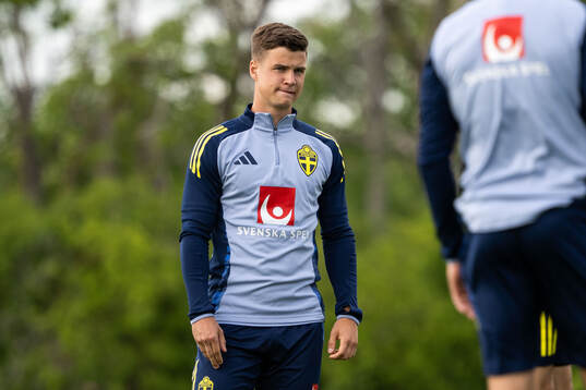 Samuel Dahl of the Swedish men's national football team