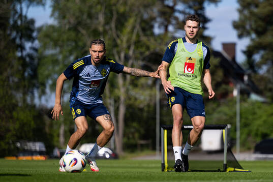 Jordan Larsson and Gabriel Gudmundsson of the Swedish men's