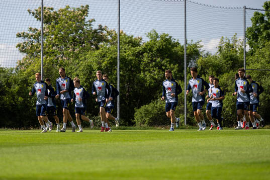 Players of the Swedish men's national football team