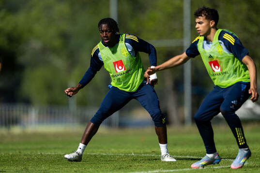 Anthony Elanga and Yasin Ayari of the Swedish men's